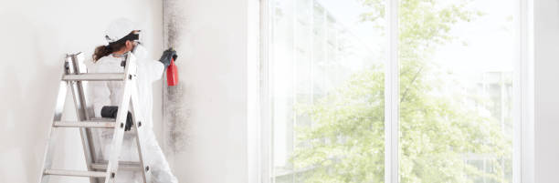 Mold Removal for HVAC Installations in Franklin, OH