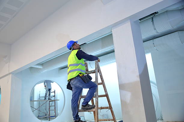 Mold Odor Removal Services in Franklin, OH